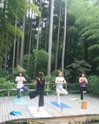 Yoga Class Schedule 〜ヨガレッスン再開のお知らせ〜