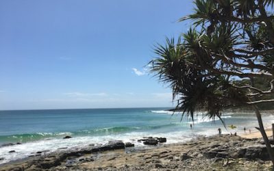 Noosa Surf Festival へ弾丸トリップ