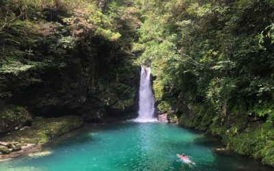 JAPAN TRIP VOL3. Crystal Blue Waters- Shimanto  (KOCHI, SHIKOKU)